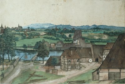 Hallerwiesen on the Pegnitz outside Nuremberg by Albrecht Dürer